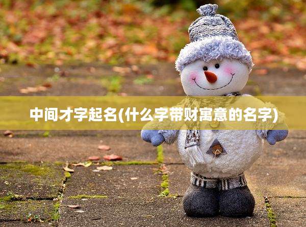 中间才字起名(什么字带财寓意的名字)