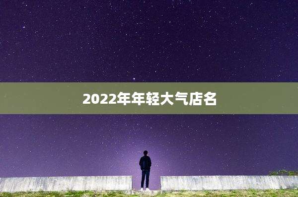 2022年年轻大气店名
