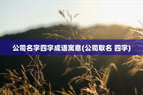 公司名字四字成语寓意(公司取名 四字)