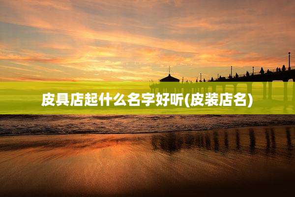 皮具店起什么名字好听(皮装店名)