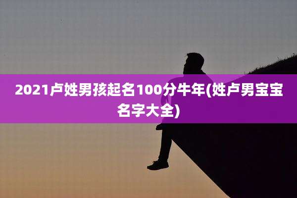 2021卢姓男孩起名100分牛年(姓卢男宝宝名字大全)