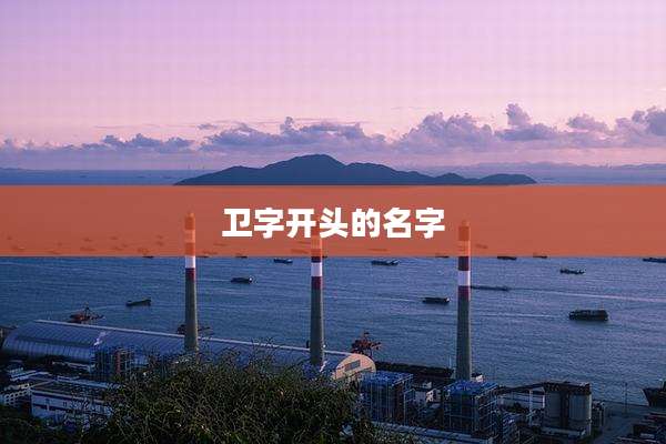 卫字开头的名字