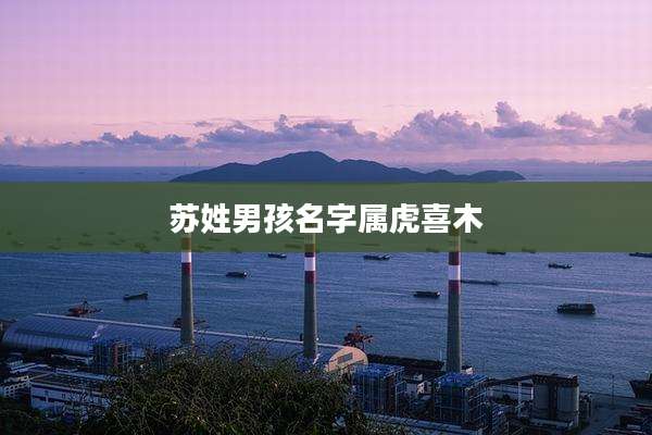 苏姓男孩名字属虎喜木