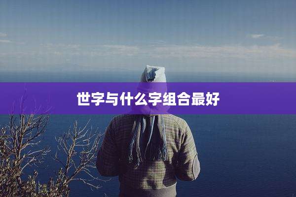 世字与什么字组合最好