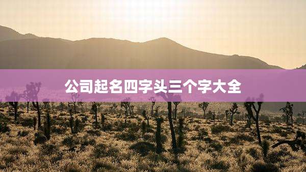 公司起名四字头三个字大全