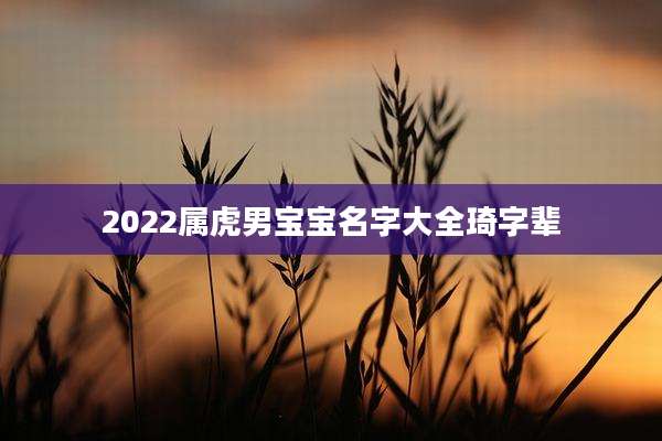 2022属虎男宝宝名字大全琦字辈