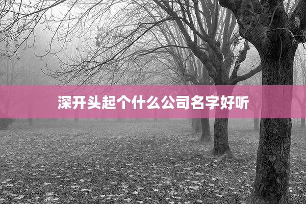 深开头起个什么公司名字好听