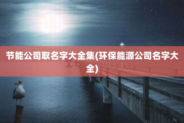 节能公司取名字大全集(环保能源公司名字大全)