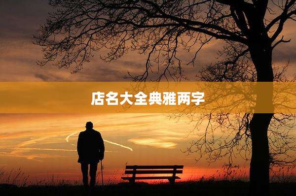 店名大全典雅两字