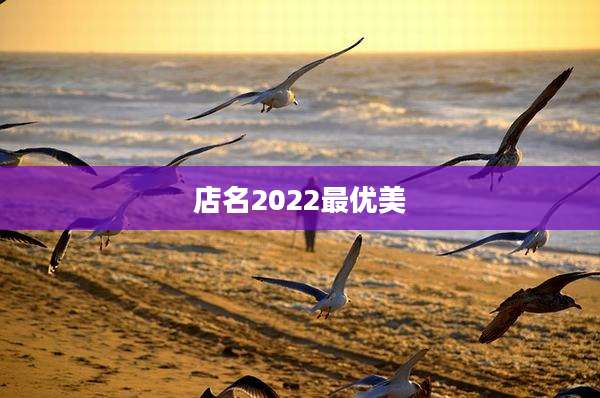 店名2022最优美