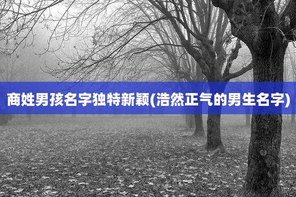商姓男孩名字独特新颖(浩然正气的男生名字)