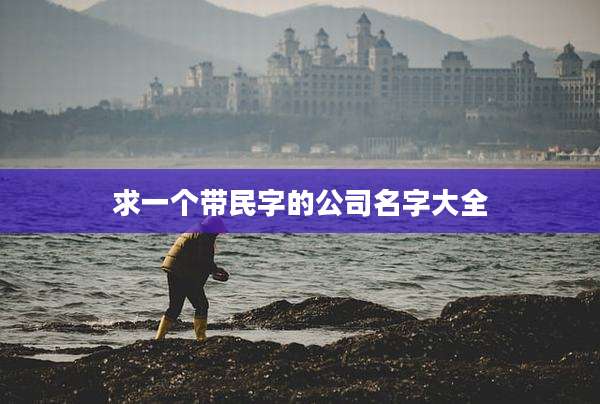 求一个带民字的公司名字大全