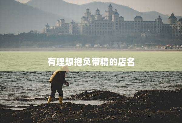 有理想抱负带精的店名