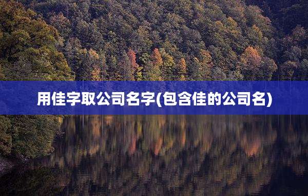 用佳字取公司名字(包含佳的公司名)