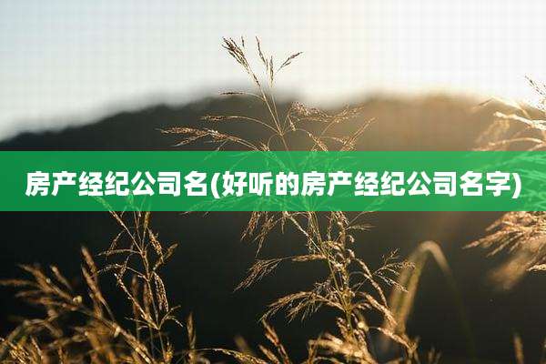 房产经纪公司名(好听的房产经纪公司名字)