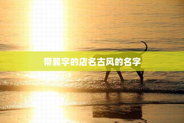 带翼字的店名古风的名字