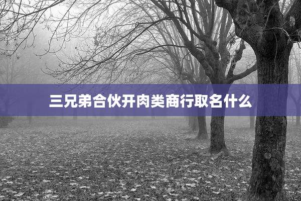 三兄弟合伙开肉类商行取名什么