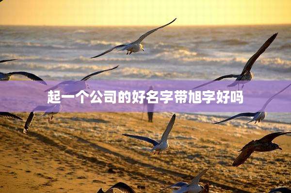 起一个公司的好名字带旭字好吗