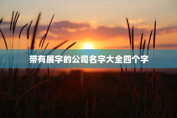 带有展字的公司名字大全四个字