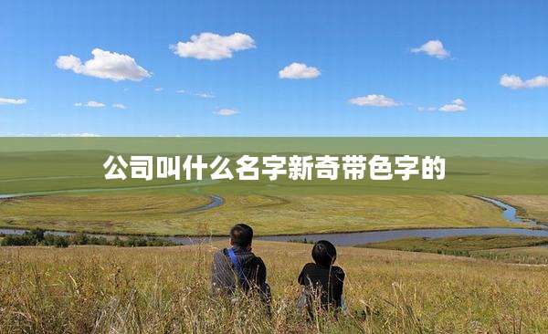 公司叫什么名字新奇带色字的