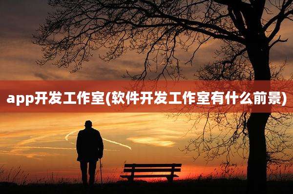 app开发工作室(软件开发工作室有什么前景)