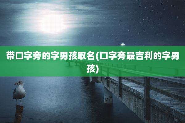 带口字旁的字男孩取名(口字旁最吉利的字男孩)