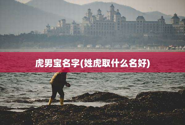 虎男宝名字(姓虎取什么名好)