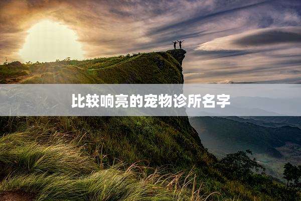比较响亮的宠物诊所名字