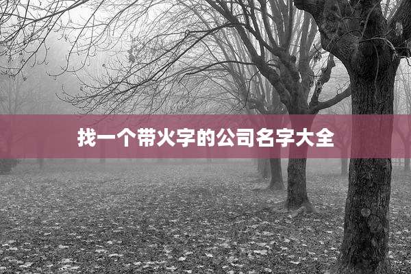 找一个带火字的公司名字大全