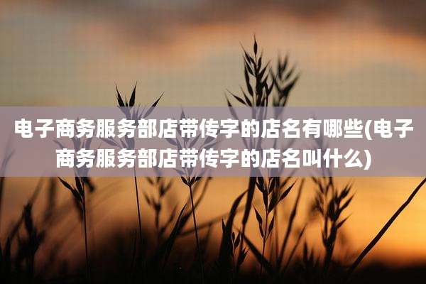 电子商务服务部店带传字的店名有哪些(电子商务服务部店带传字的店名叫什么)
