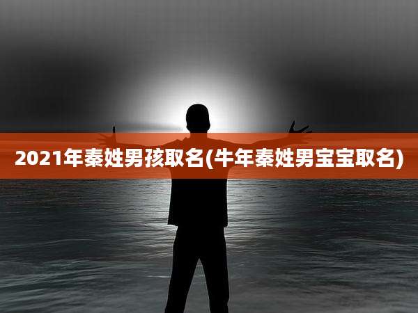 2021年秦姓男孩取名(牛年秦姓男宝宝取名)