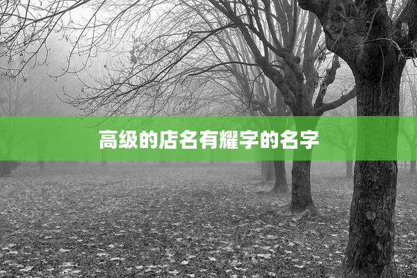 高级的店名有耀字的名字