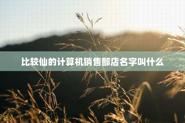 比较仙的计算机销售部店名字叫什么