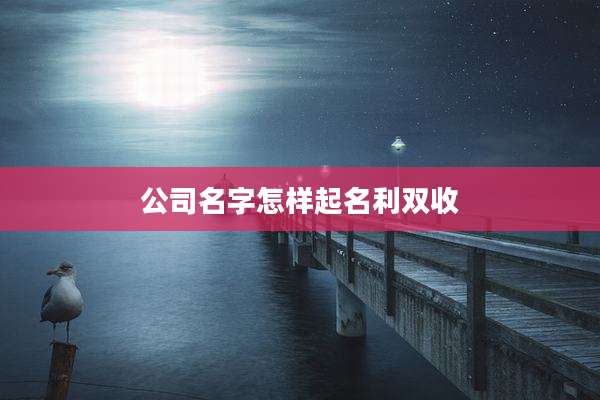 公司名字怎样起名利双收