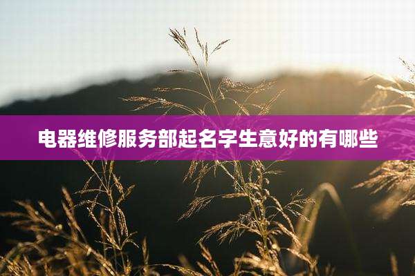 电器维修服务部起名字生意好的有哪些