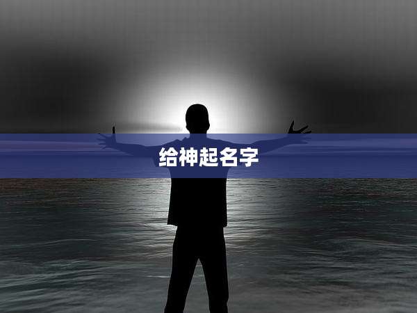 给神起名字