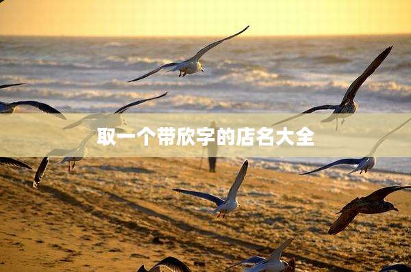 取一个带欣字的店名大全