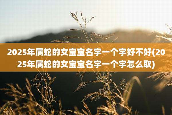 2025年属蛇的女宝宝名字一个字好不好(2025年属蛇的女宝宝名字一个字怎么取)