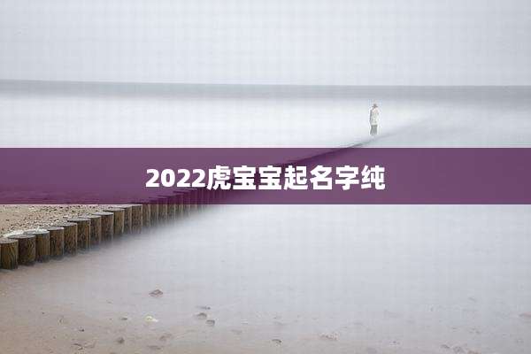 2022虎宝宝起名字纯