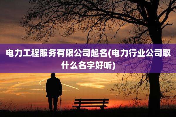 电力工程服务有限公司起名(电力行业公司取什么名字好听)