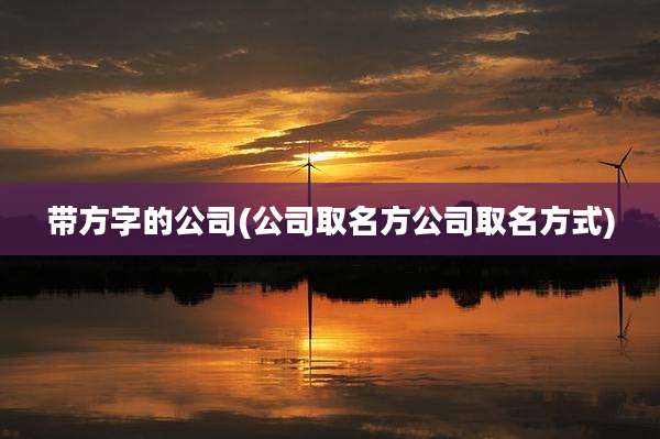 带方字的公司(公司取名方公司取名方式)