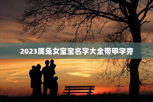 2023属兔女宝宝名字大全带甲字旁