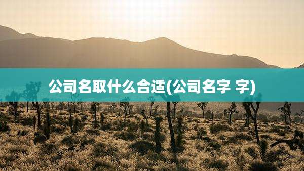 公司名取什么合适(公司名字 字)
