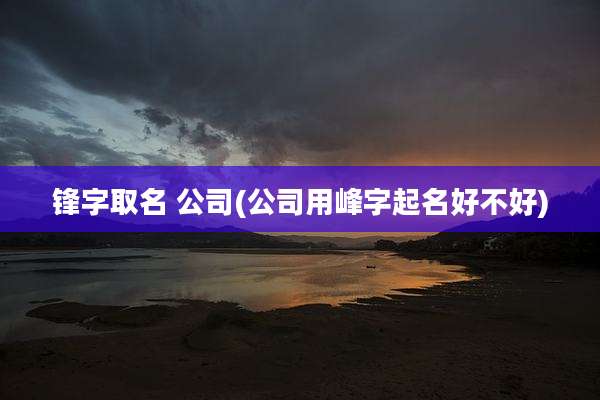 锋字取名 公司(公司用峰字起名好不好)