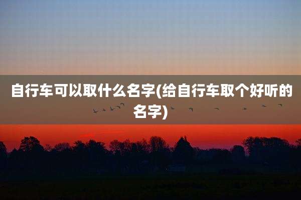 自行车可以取什么名字(给自行车取个好听的名字)