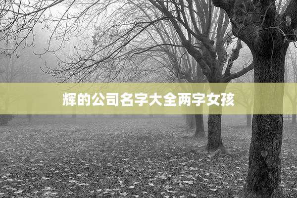 辉的公司名字大全两字女孩