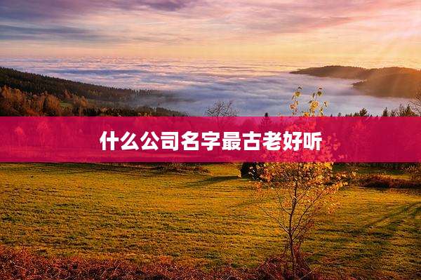 什么公司名字最古老好听