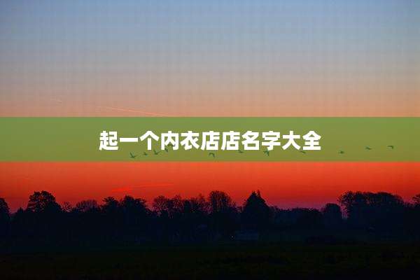 起一个内衣店店名字大全