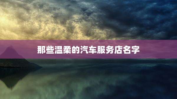 那些温柔的汽车服务店名字