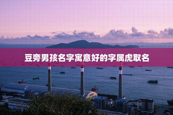 豆旁男孩名字寓意好的字属虎取名